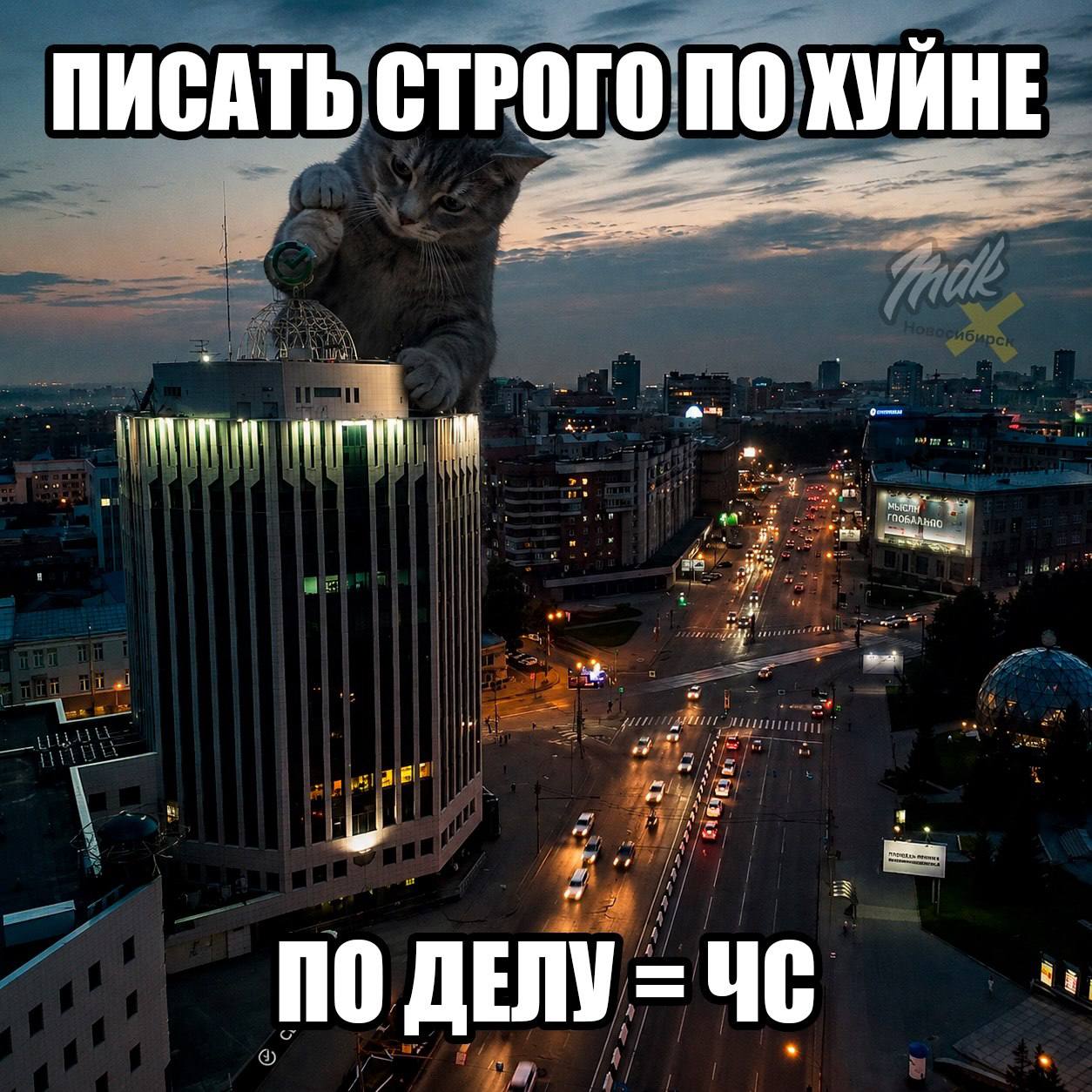 Большой кот над городом и надписью «Писать строго по хуйне», внизу подпись «По делу = чс» на фоне вечернего города.
