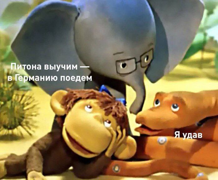 Питона выучим — в Германию поедем Мем с фразами "Питона выучим — в Германию поедем" и "Я удав" из мультфильма "38 попугаев".