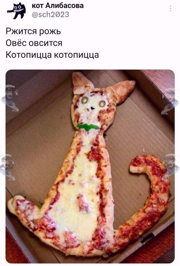 Пицца Кот Пицца в форме кота с глазами из оливок и подписью: Ржится рожь, овес овсится, котопицца котопицца