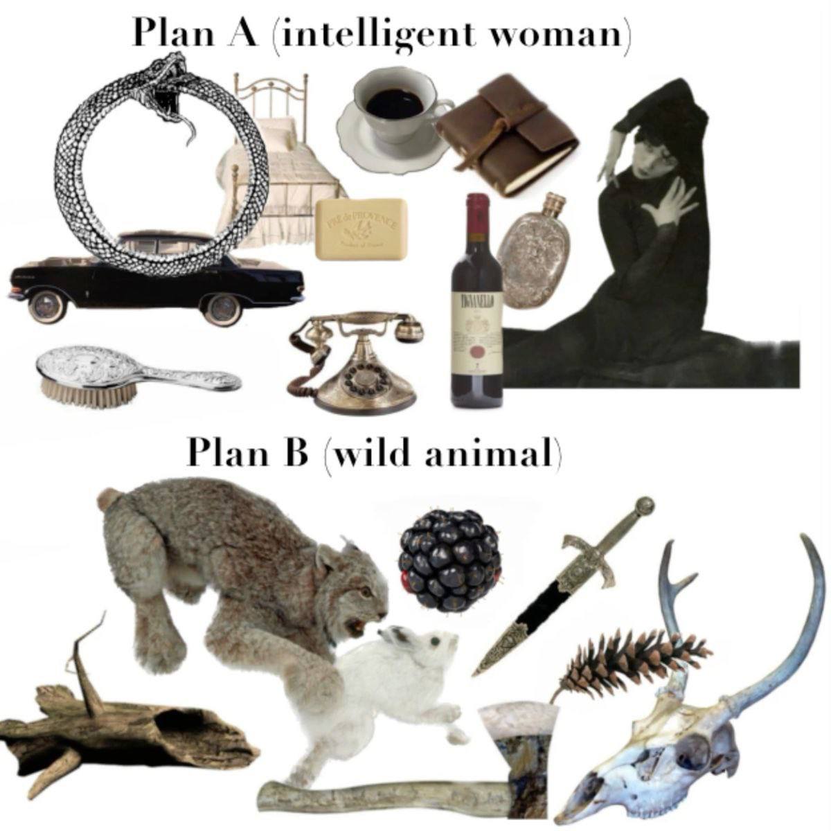 Plan A intelligent woman Plan B wild animal Мем, противопоставляющий образы «умной женщины» и «дикого животного» с помощью различных предметов.