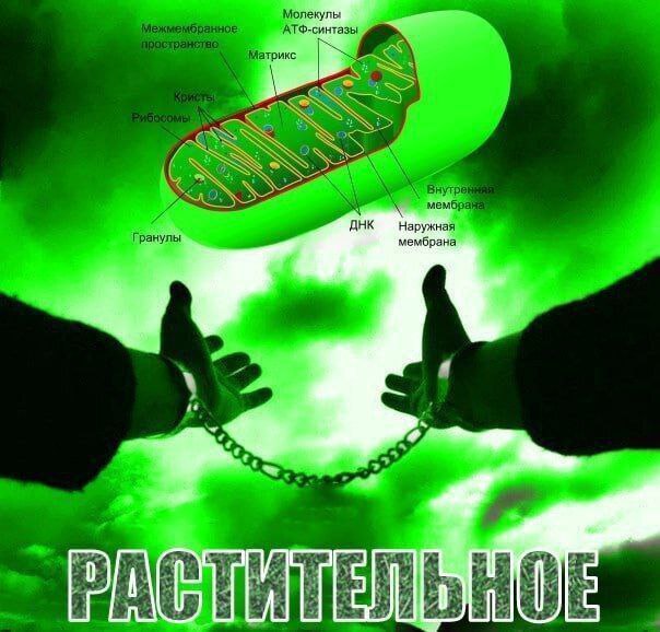 Растительное, руки в наручниках Растительное, две руки в наручниках и митохондрия