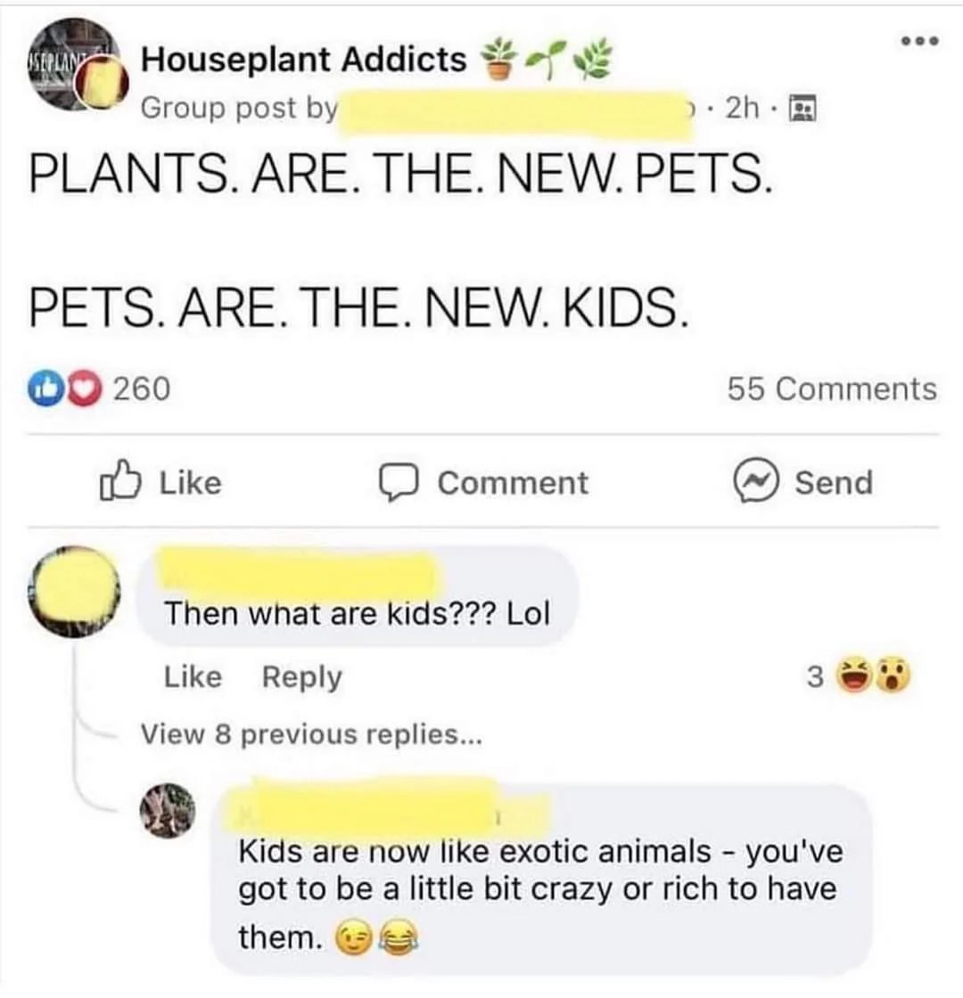 Plants are the new pets Мем о том, что растения стали новыми питомцами, а питомцы - новыми детьми, задается вопрос, чем тогда являются дети.