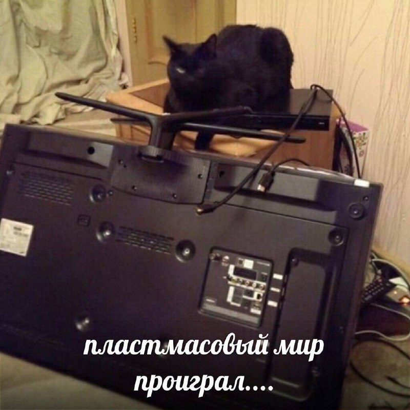 Пластмассовый мир проиграл Кот сидит на перевернутом телевизоре с надписью «пластмассовый мир проиграл»