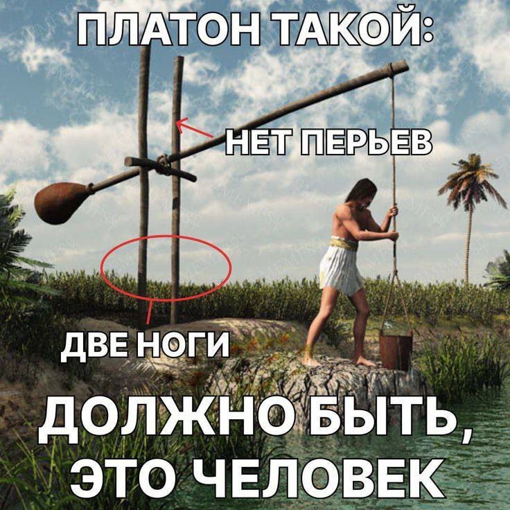 Платон такой: Нет перьев Мем Платон такой: нет перьев, две ноги, должно быть, это человек