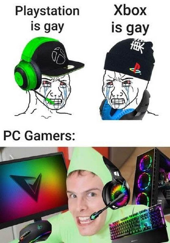 Playstation is gay Xbox is gay PC Gamers Геймеры PlayStation и Xbox жалуются друг на друга, а ПК-геймер радуется своему превосходству.