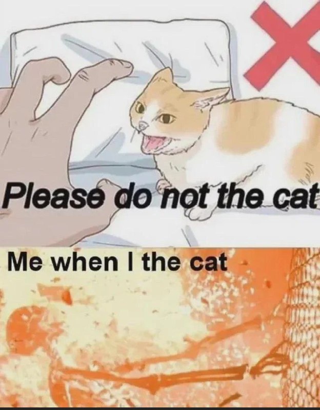 Пожалуйста, не трогайте кота Мем с надписью «Please do not the cat» и горящим человеком