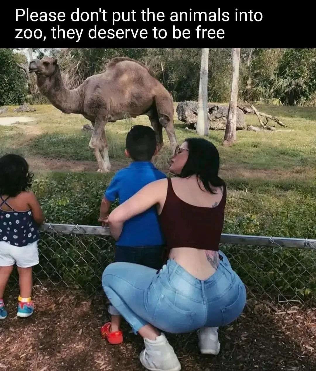 Please don't put the animals into zoo, they deserve to be free Мем с фразой «Пожалуйста, не помещайте животных в зоопарк, они заслуживают быть свободными» на изображении, где молодая женщина сидит на корточках перед верблюдом в зоопарке, рядом с ней стоят дети, наблюдающие за животным.