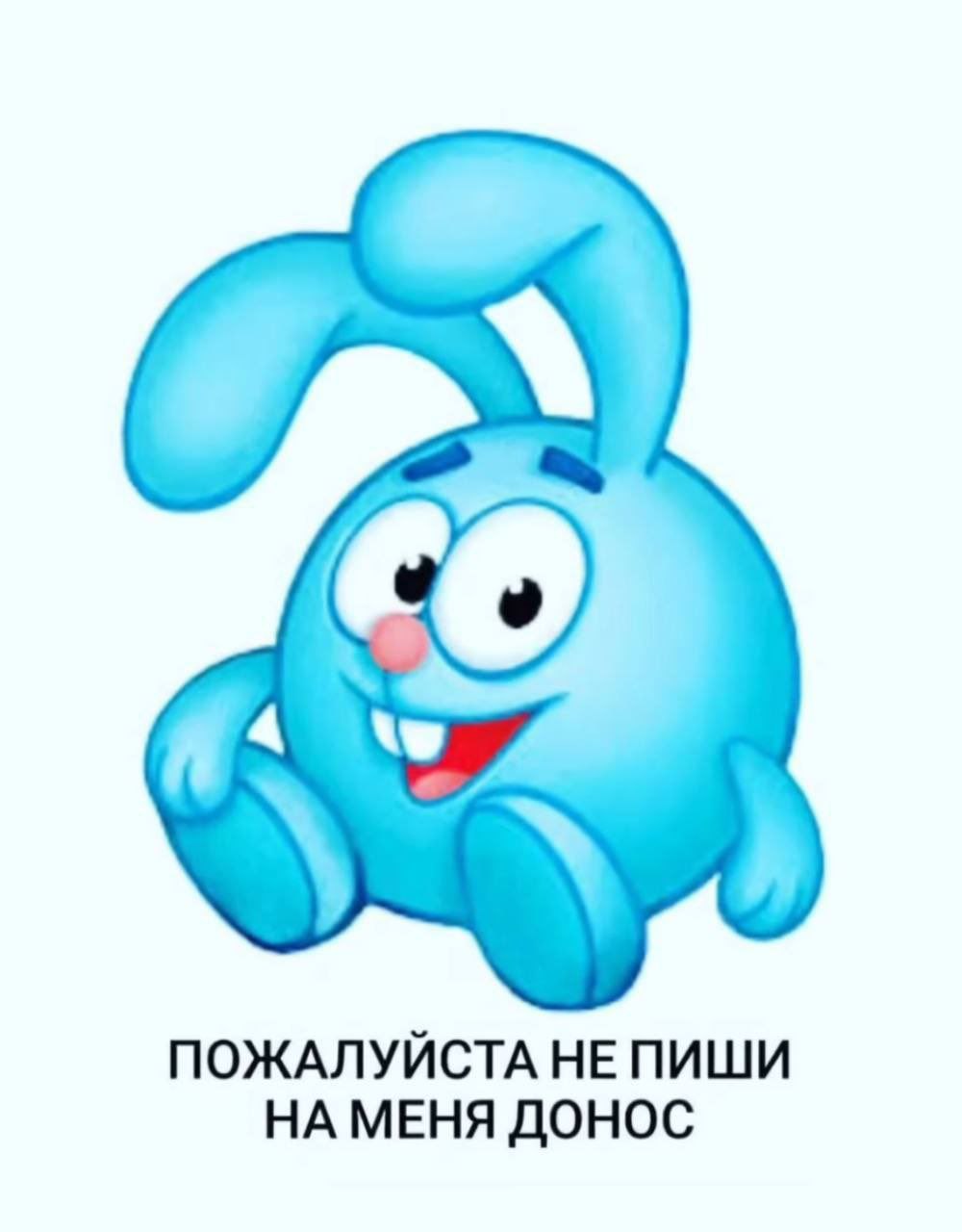 Пожалуйста не пиши на меня донос Крош с надписью «Пожалуйста не пиши на меня донос»