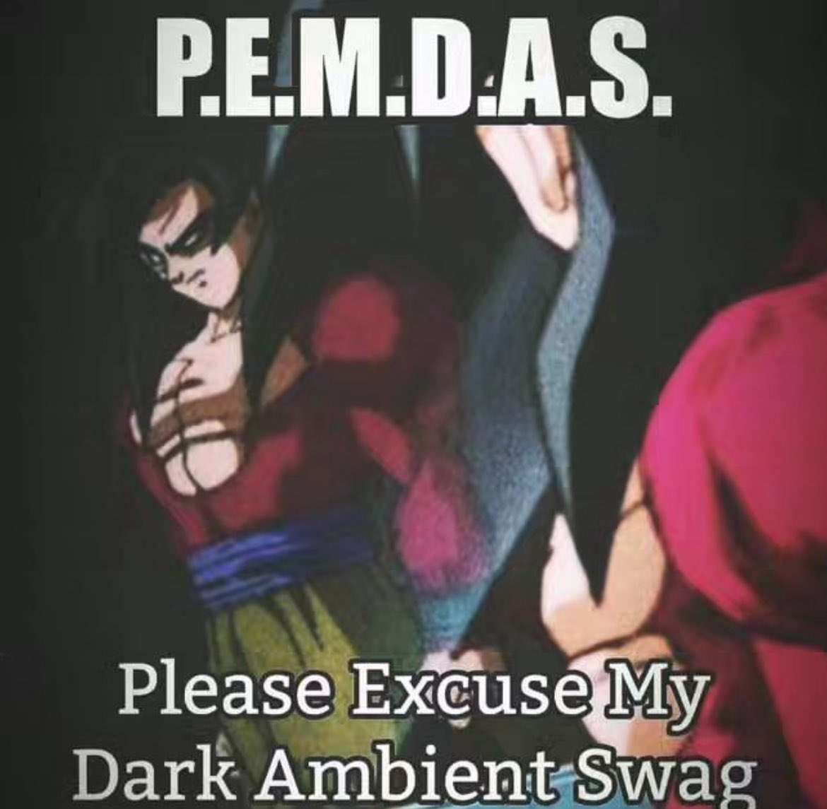 Please Excuse My Dark Ambient Swag Аббревиатура PEMDAS с расшифровкой Please Excuse My Dark Ambient Swag и изображением Гоку Супер Сайяна 4 на темном фоне.