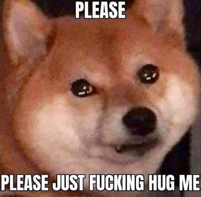 Please just fucking hug me Мем с собакой шиба-ину, умоляющей обнять ее