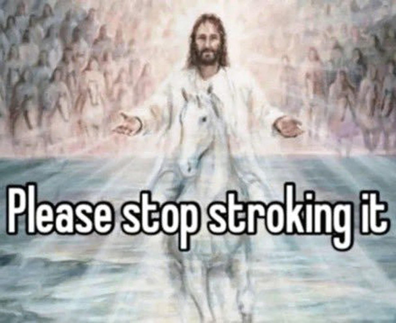 Please stop stroking it Иисус на белом коне с надписью "Please stop stroking it"