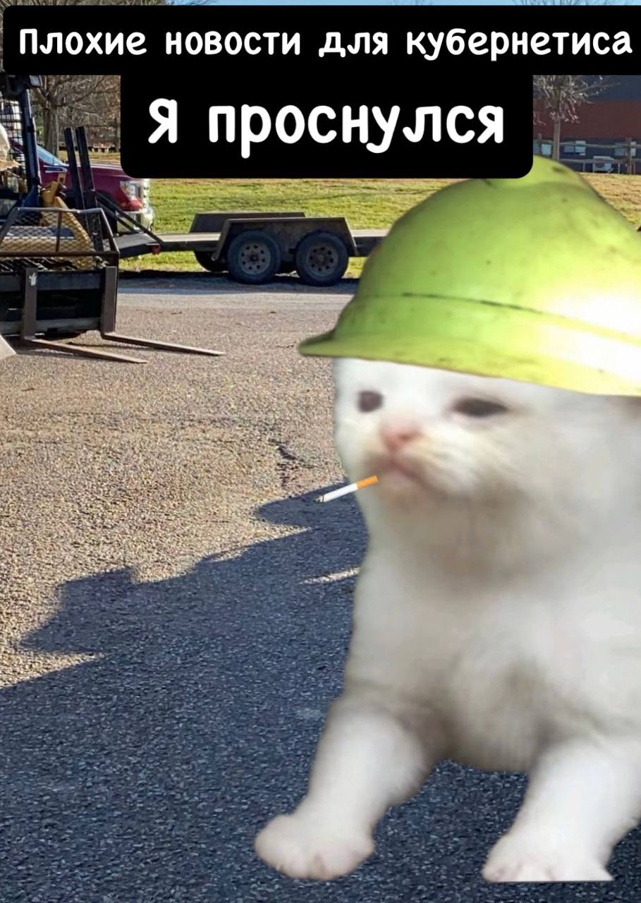 Плохие новости для кибернетиса Мем с котом, который проснулся и держит сигарету во рту в жёлтом шлеме на фоне улицы.