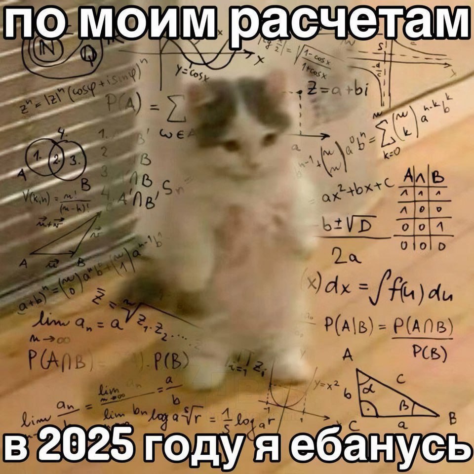 По моим расчетам, в 2025 году я ебанусь Котенок на фоне сложных математических формул, выглядит озадаченным, с подписью «По моим расчетам, в 2025 году я ебанусь».