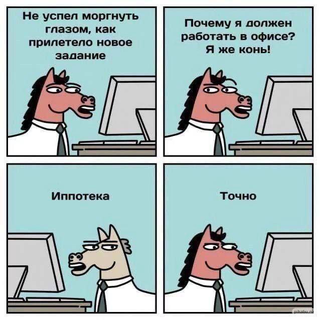 Почему я должен работать в офисе? Я же конь! Мем про коня, работающего в офисе, которого ипотека заставляет трудиться без остановки.