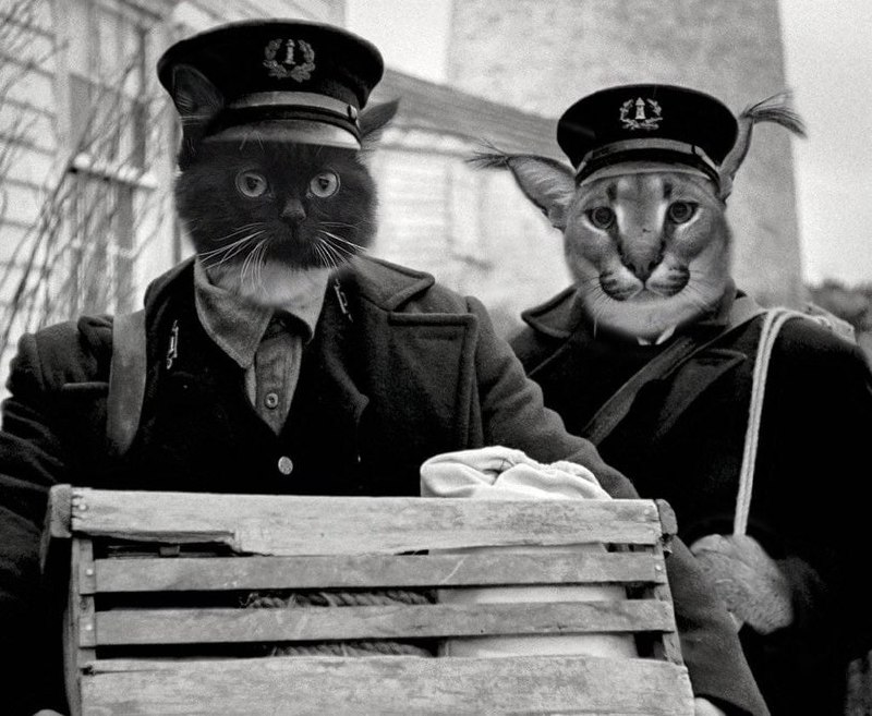 Почтальоны коты Два почтальона с головами кошек, один из которых – каракал (большой Снежок или Флоппа), стоят и держат ящик с почтой.
