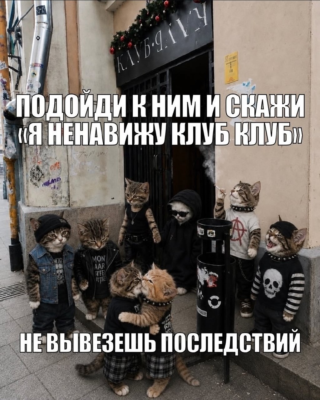 Компания котов у входа в клуб с подписью про то, что если подойти и сказать «Я ненавижу клуб клуб», то не вывезешь последствий