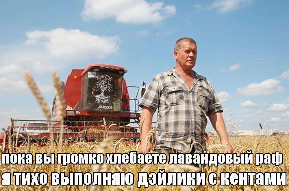 Пока вы громко хлебаете лавандовый раф Мужчина в клетчатой рубашке на фоне комбайна на пшеничном поле с текстом «Пока вы громко хлебаете лавандовый раф я тихо выполняю дэйлики с кентами»