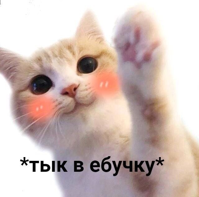 Тык в ебучку Рыжий кот с румянцем, поднимающий лапу, со словами "*тык в ебучку*"