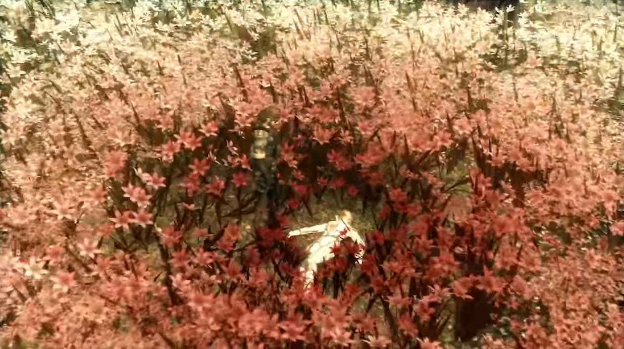Поле красных паучьих лилий MGS 3 Кадры из игры Metal Gear Solid 3: Snake Eater, где Снейк ползёт по полю красных паучьих лилий, а за ним следует The Boss. Сцена с белыми цветами и цветущими красными паучьими лилиями, с персонажами игры.