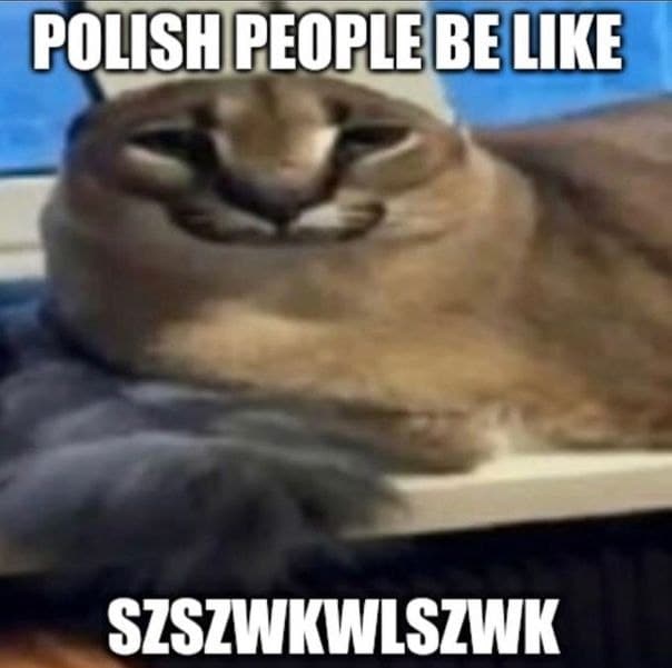 Polish people be like szszwkwlszwk Мем с каракалом, который выглядит недовольным и с прищуренными глазами, а также надпись «Polish people be like szszwkwlszwk»