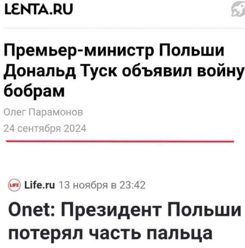 Премьер-министр Польши объявил войну бобрам Мем с заголовками новостей Lenta.ru и Life.ru о премьер-министре Польши Дональде Туске, объявившем войну бобрам, и президенте Польши, потерявшем часть пальца.