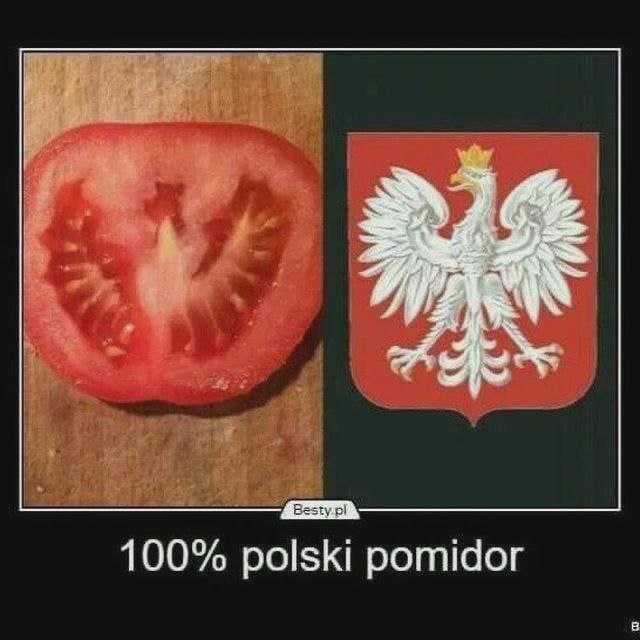 Польский томат с орлом Польский томат, внутри которого виден белый орел с короной, похожий на герб Польши