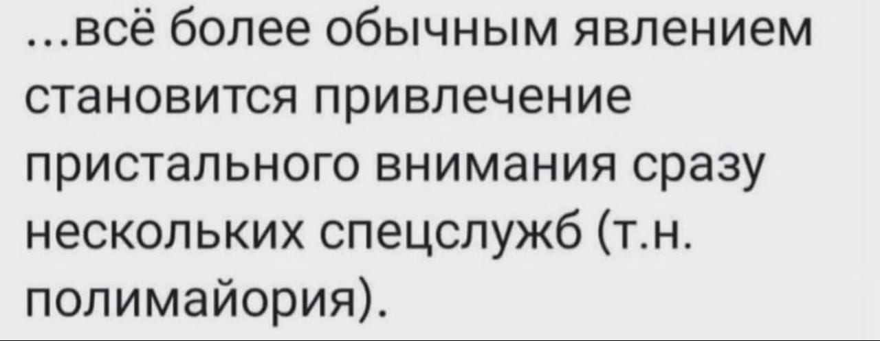 Полимайория спецслужб Текст о том, как привлечение внимания нескольких спецслужб становится обычным явлением, называемое полимайорией.
