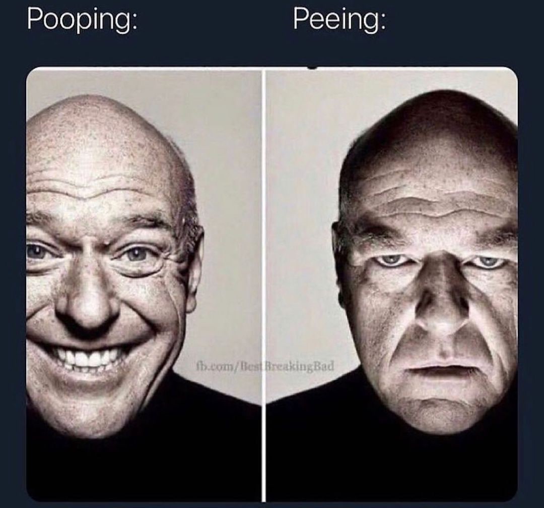 Pooping vs peeing Хэнк Шрейдер Мем с Хэнком Шрейдером, выражающим счастье при «pooping» и недовольство при «peeing».
