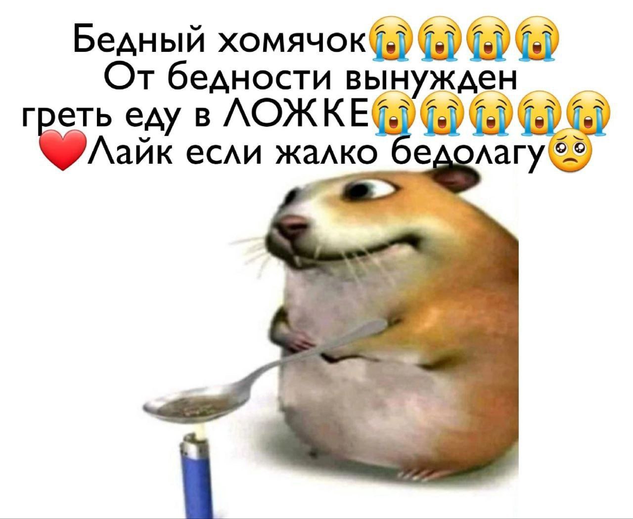 Бедный хомячок греет еду в ложке Бедный хомячок греет еду в ложке, используя зажигалку.
