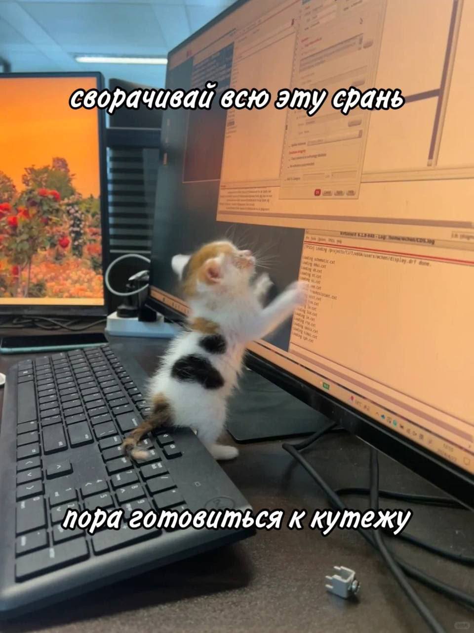 Пора готовиться к кутежу Котенок на рабочем месте призывает сворачивать все дела и начинать веселиться