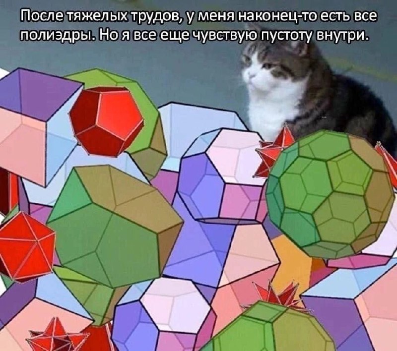 Кот с многогранниками и надписью о том, что после тяжелых трудов есть все полиэдры, но внутри все еще пустота.