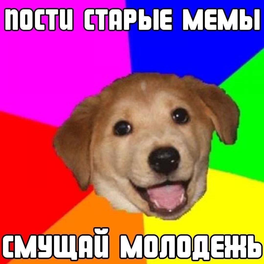 Пости старые мемы, смущай молодежь Щенок на фоне, который призывает постить старые мемы и смущать молодежь.