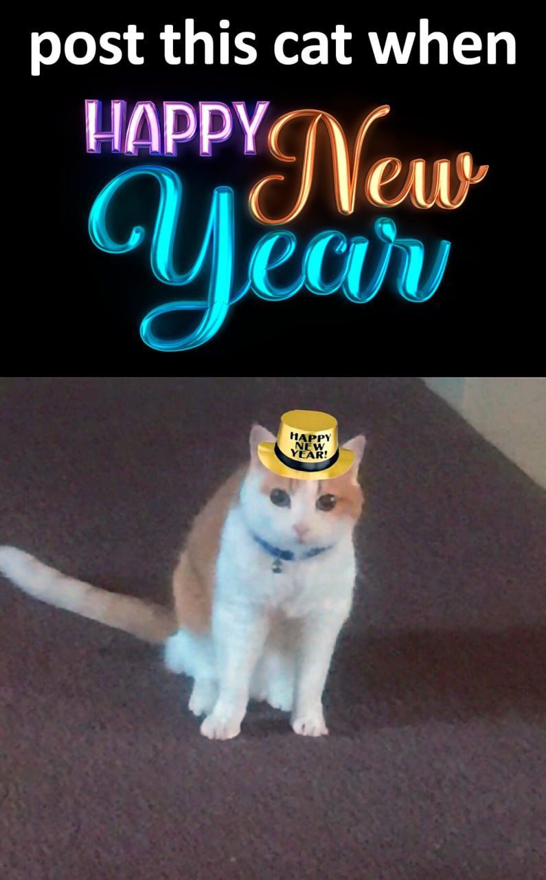 Post this cat when Happy New Year Мем с котом в новогодней шляпе и надписью «post this cat when Happy New Year»