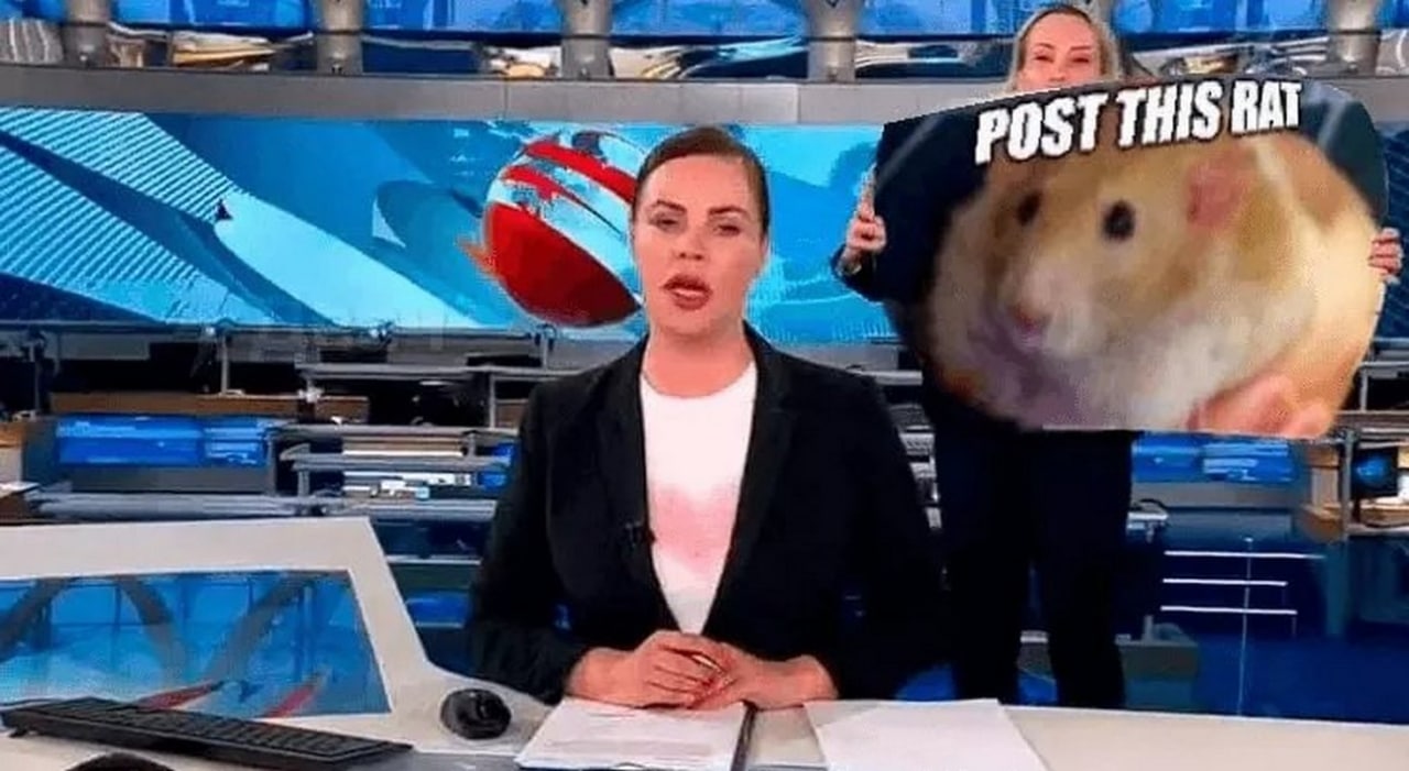 Post this rat в новостях Женщина с плакатом хомяка или крысы за спиной ведущей новостей