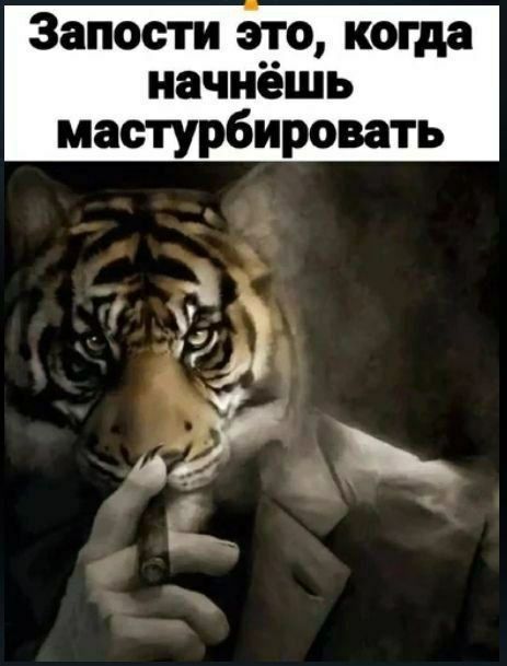 Запости это, когда начнёшь мастурбировать Мем с тигром в костюме, курящим сигару и надписью «Запости это, когда начнёшь мастурбировать»