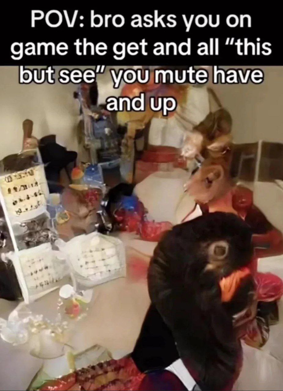 POV: бро просит тебя в игре Мем с POV и странным текстом про бро, который что-то просит в игре, на фоне размытого изображения комнаты с какими-то предметами и головой человека, выглядящей как утка.