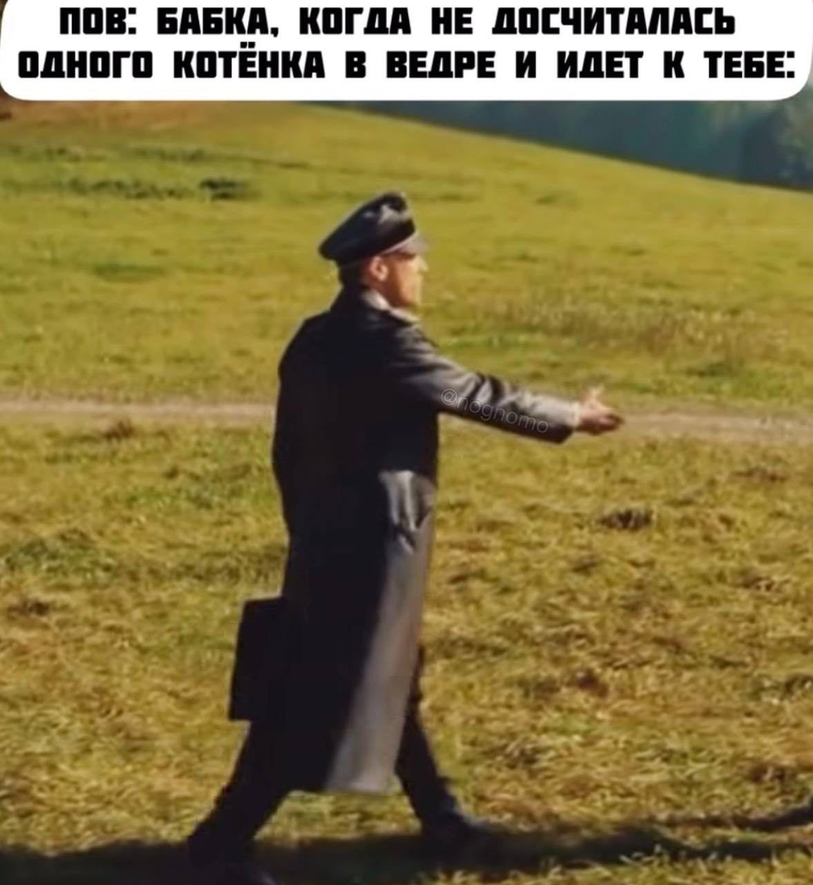 ПОВ: Бабка, когда не досчиталась одного котёнка в ведре и идёт к тебе ПОВ: Бабушка не нашла одного котёнка в ведре и направляется к тебе