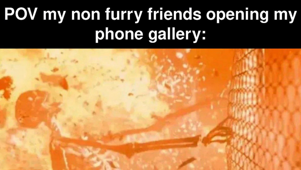 POV my non furry friends opening my phone gallery POV: мои не-фурри друзья открывают галерею моего телефона, где они видят взорванный скелет