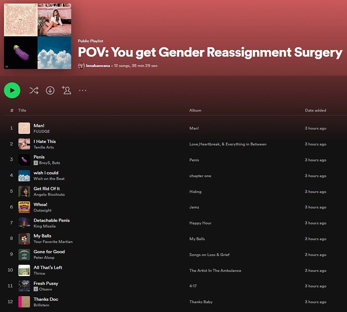 POV: You get Gender Reassignment Surgery Мем со списком песен Spotify под названием «POV: You get Gender Reassignment Surgery»