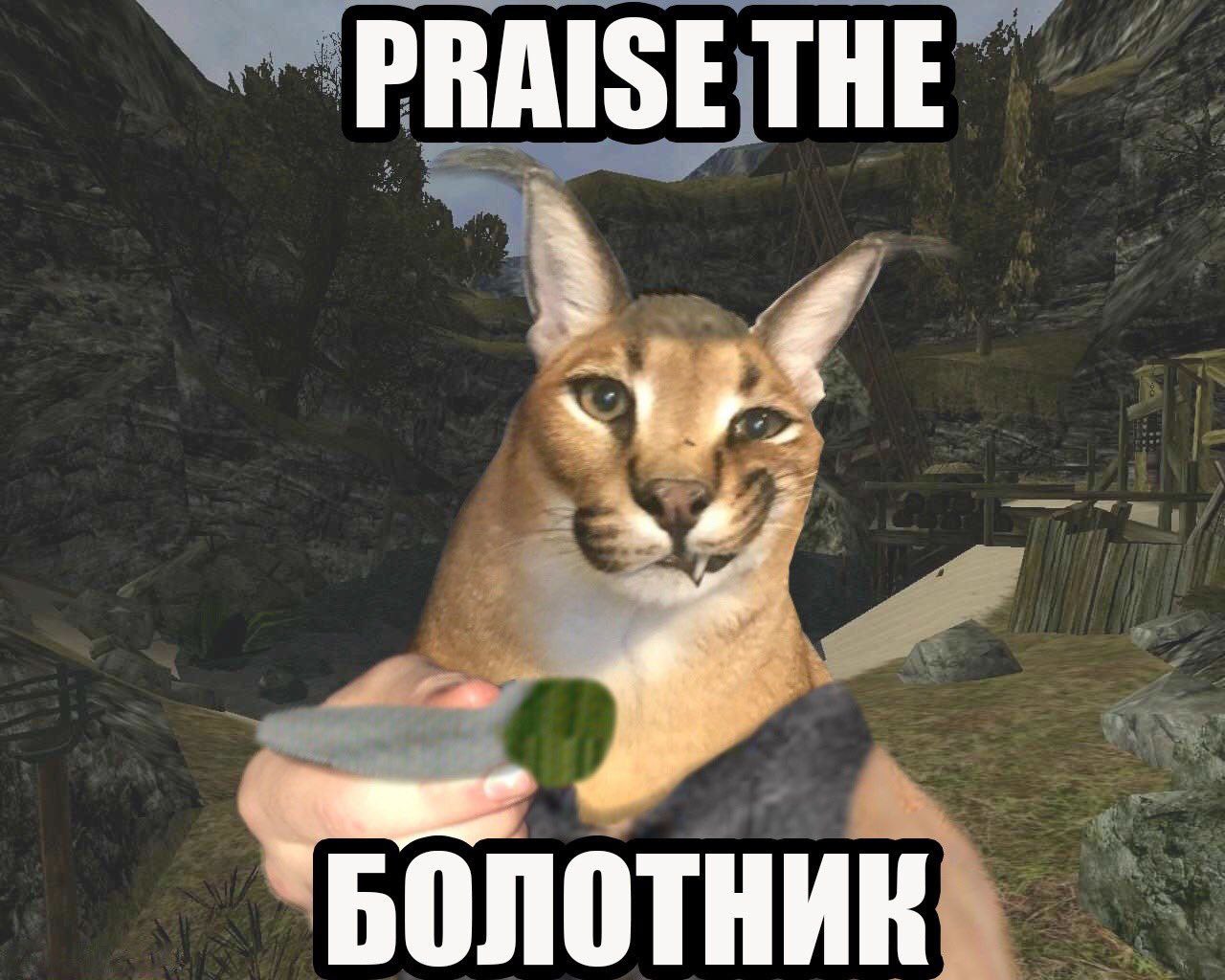 Мем Praise the Болотник Мем с каракалом и ножом, который призывает "Praise the Болотник".