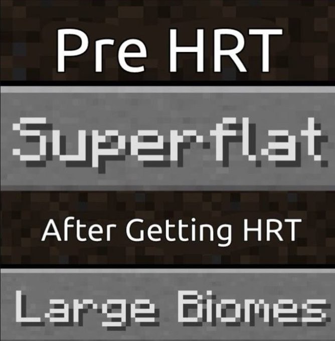 Изображение в стиле Minecraft с надписями «Pre HRT», «Super flat», «After Getting HRT» и «Large Biomes», обыгрывающее сравнение до и после HRT.