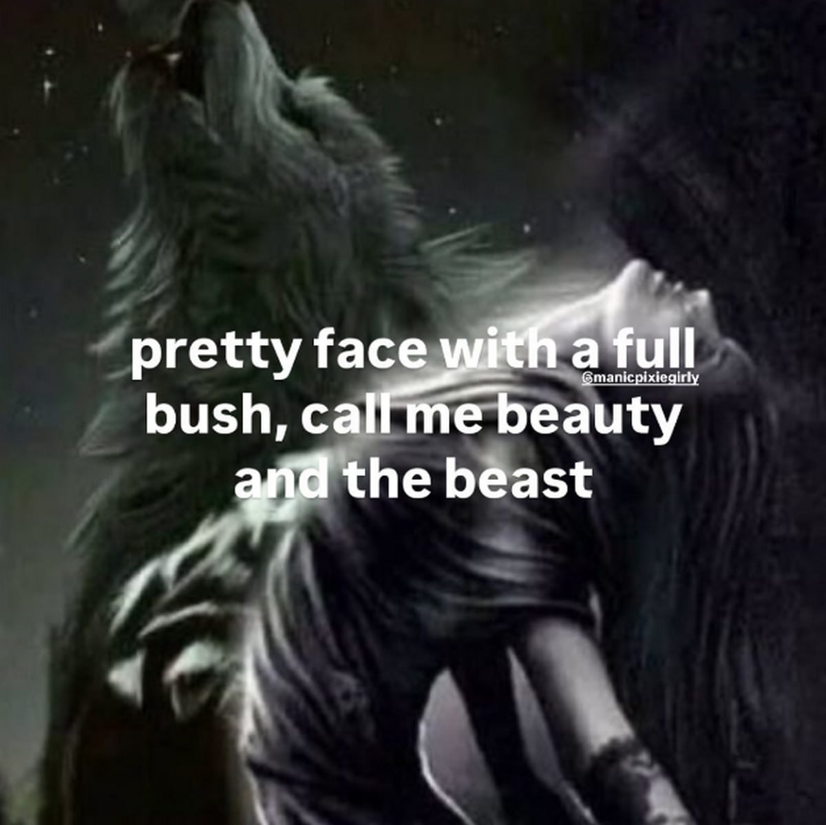 Pretty face with a full bush Мем с текстом 'pretty face with a full bush, call me beauty and the beast' на фоне темного рисунка девушки и волка.