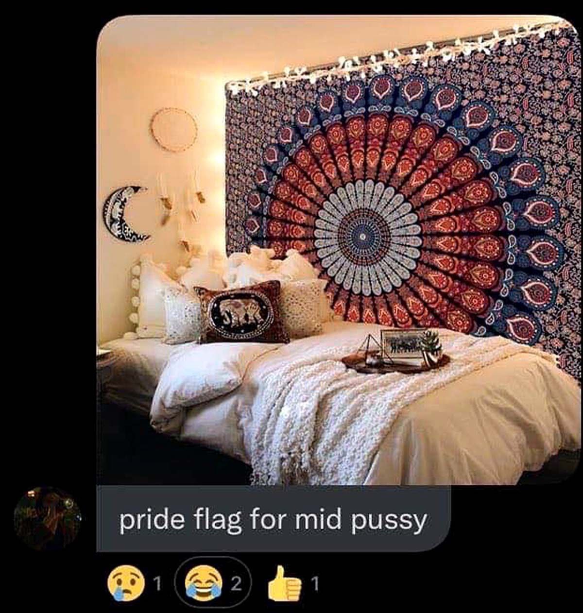 Pride flag for mid pussy Мем с изображением комнаты, украшенной в стиле бохо, и подписью «pride flag for mid pussy», высмеивающей этот стиль как “флаг гордости для среднестатистической киски”.
