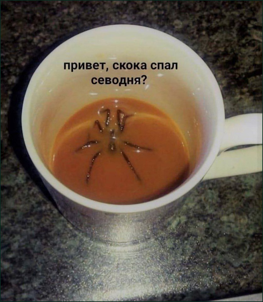 Привет, скока спал сегодня? В кружке с кофе или чаем сидит паук, а сверху надпись «Привет, скока спал сегодня?»