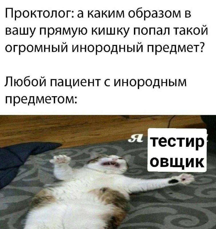 Проктолог: а каким образом в вашу прямую кишку попал такой огромный инородный предмет? Любой пациент с инородным предметом: Я тестировщик Мем про проктолога и пациента с инородным предметом, где пациент-кот утверждает, что он тестировщик.