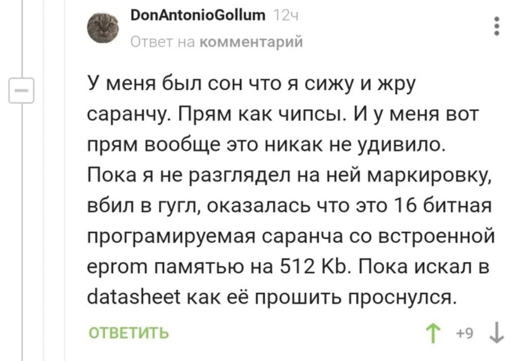 16 битная программируемая саранча Мем с текстом про сон пользователя о том, как он ест саранчу, которая оказалась 16-битной программируемой, и он пытался найти как ее прошить.