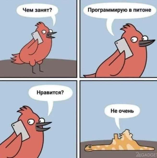 Программирую в питоне Комикс про птицу, кота и программирование на языке Python.