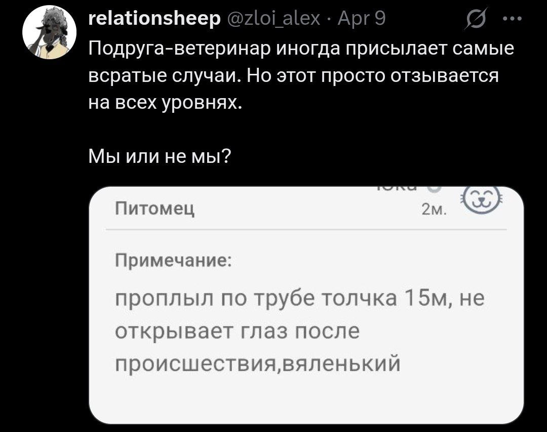 Проплыл по трубе толчка 15м Мем про питомца, который проплыл по трубе толчка 15м и не открывает глаза.