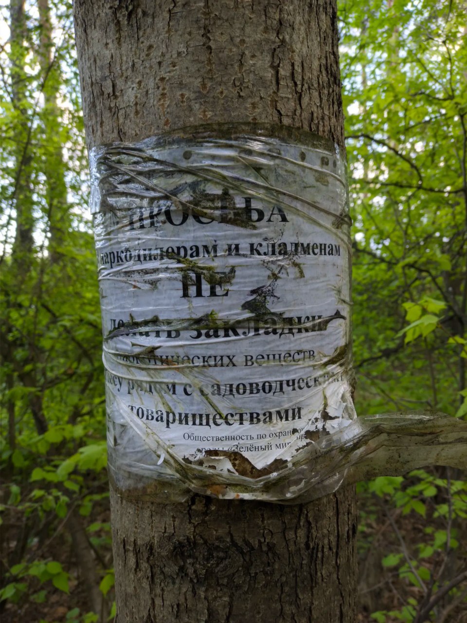 Просьба не делать закладок Объявление на дереве: просьба не делать закладок наркотических веществ.