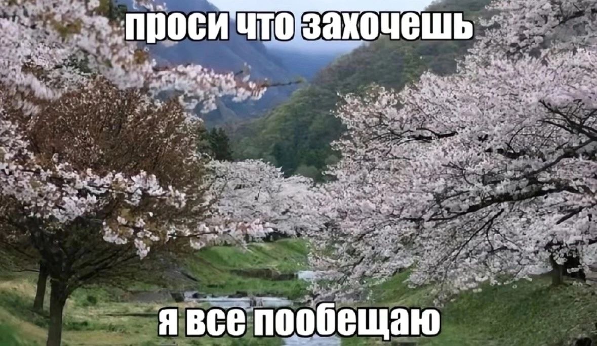 Проси что захочешь Проси что захочешь, я все пообещаю